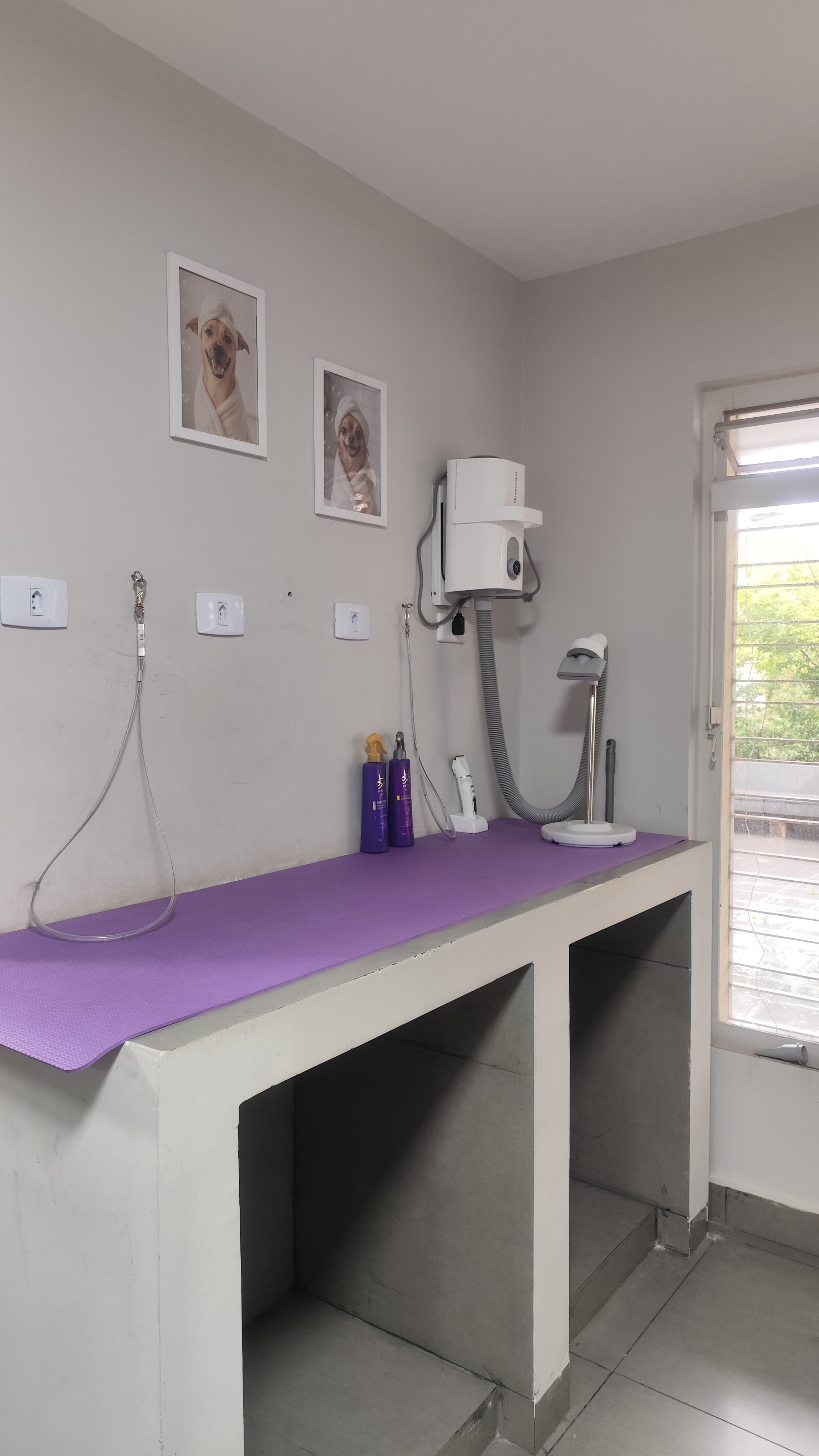 Banho e tosa - bancada de secagem e tosa