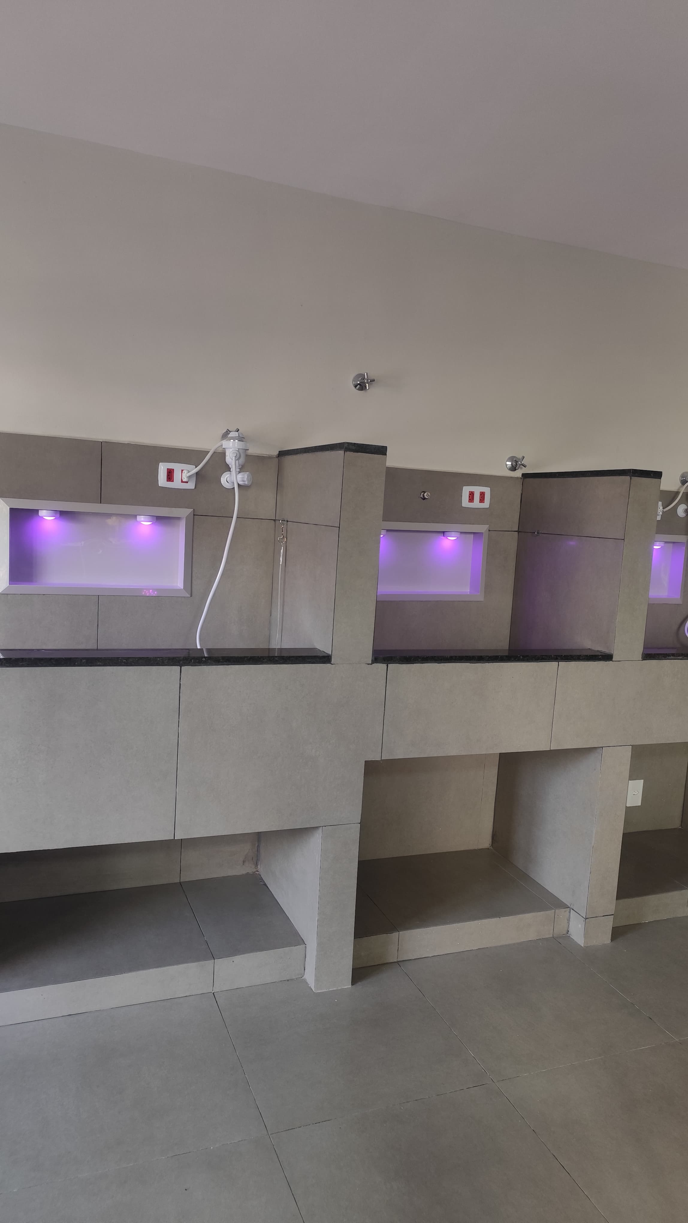 Banho e tosa - área das banheiras