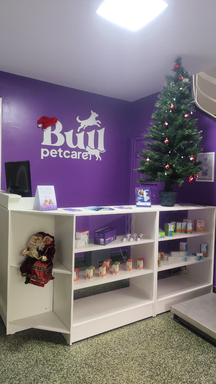 Recepção da Bull Petcare