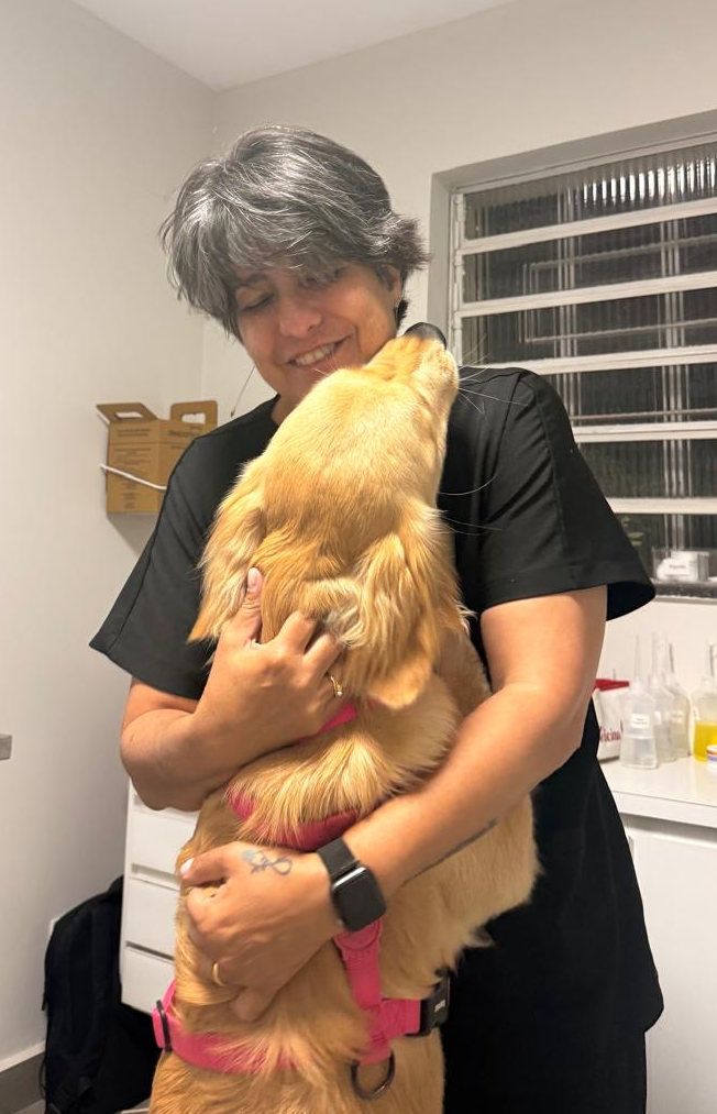 Consultório veterinário para felinos